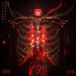 Artwork voor "Involve"