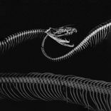 Artwork voor "Always On Fire"