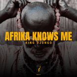 Artwork for "Afrika Knows Me"