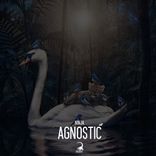 Artwork for "Agnostic"