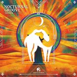Artwork voor "Nocturnal Groove"
