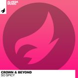 Artwork for "So Spicy"