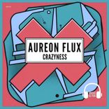 Artwork für "Crazyness"