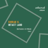 Artwork for "Intact Land"