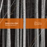 Artwork for "Reject the False Icons EP"