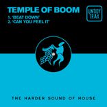 Artwork für "Temple Of Boom EP"