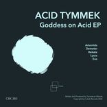 Artwork for "Goddess on Acid EP"