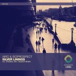 Artwork for "Silver Linings"