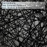 Portada para "Two Colored Polaroid"