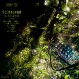 Portada para "In the Moog"