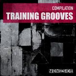 Artwork für "Training Grooves"
