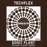 Artwork for "Sonic Plant"