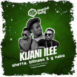 Portada para "Kijani Ilee"