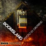 Portada para "Psycho Ex Girl Friend"