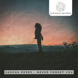 Never Forget You