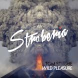 Artwork voor "Wild Pleasure"