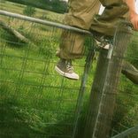 Artwork for "Nostalgia"