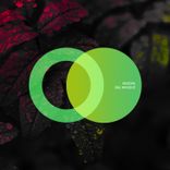 Artwork voor "Bal Masqué"