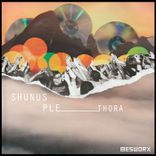 Artwork for "Plethora"