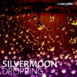 Artwork for "Dropping"