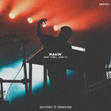 Artwork for "Ravin'"