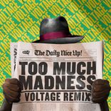 Artwork for "Too Much Madness (Voltage Remix)"