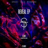 Artwork für "Reveal"