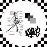 Artwork for "ANTI SOCIAL MEDIA / XXX"