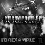 Artwork voor "Nurgapood EP"