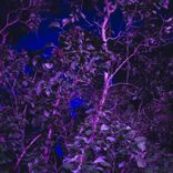 Artwork for "Dusk Till Dawn"