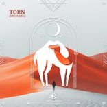 Artwork voor "Torn"