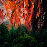 Portada para "Elemental nature"