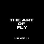 Artwork voor "The Art Of Fly"