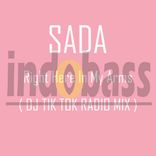 Artwork for "Right Here In My Arms ( DJ Tik Tok Radio Mix )"