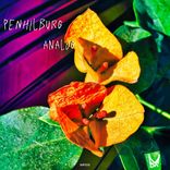 Artwork for "Analog"