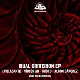 Artwork voor "Dual Criterion"