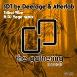 Artwork for "Tribal Vibe (DJ Vega Remix)"