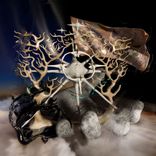 Artwork for "Journey into My Inner Forest"