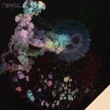 Artwork for "Tragweite"