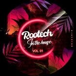 Artwork for "Rootech In The House, Vol. 1"