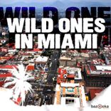 Artwork voor "Wild Ones in Miami"