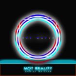 Portada para "Not Reality"