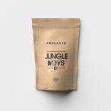 Artwork for "Jungle Boys"