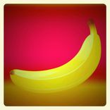 Artwork voor "Bees & Pigeons"