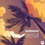 Artwork für "Aerial"