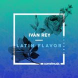 Artwork voor "Latin Flavor"