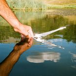 Portada para "Out of Time"