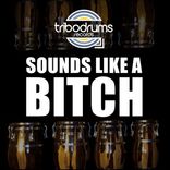 Sounds Like A Bitch