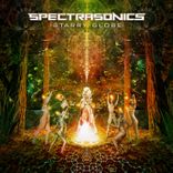 Portada para "Starry Globe"