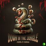 Artwork for "Down in the Jungle"